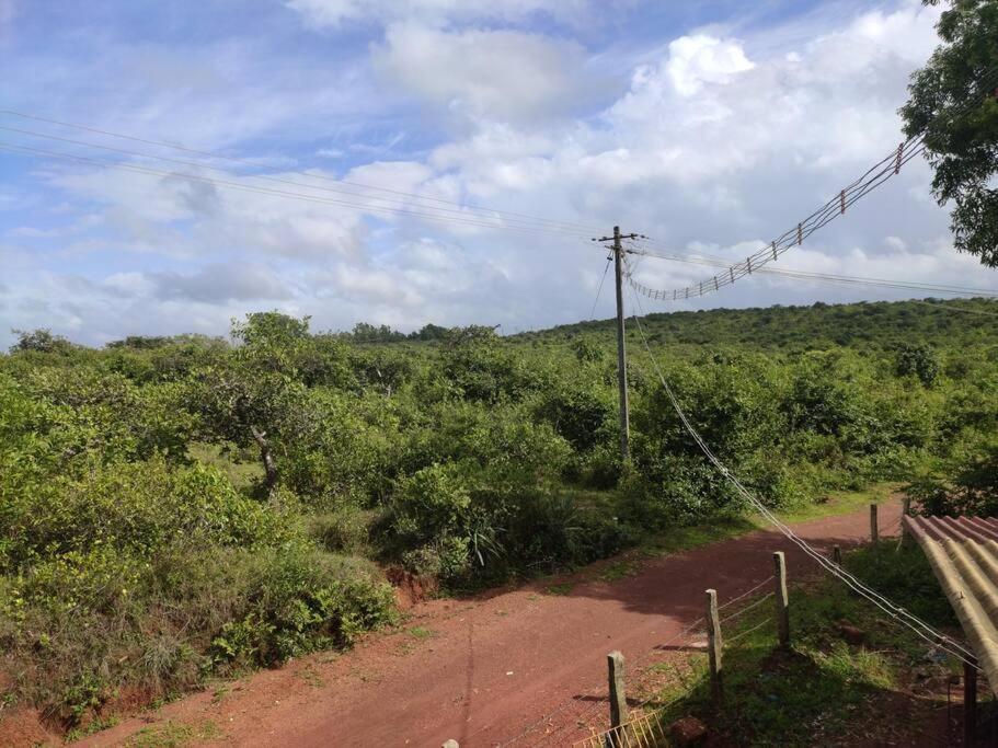 Kamanabillu Homestay, For Jog Falls Travellers Siddapur Eksteriør billede