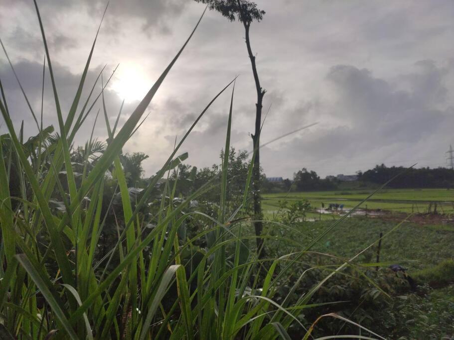 Kamanabillu Homestay, For Jog Falls Travellers Siddapur Eksteriør billede