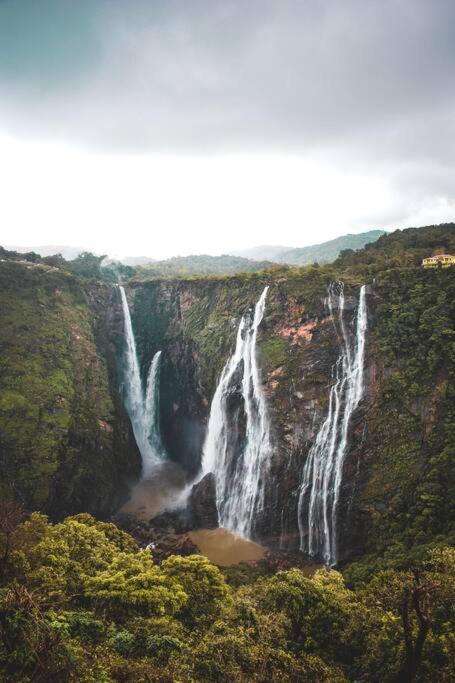 Kamanabillu Homestay, For Jog Falls Travellers Siddapur Eksteriør billede
