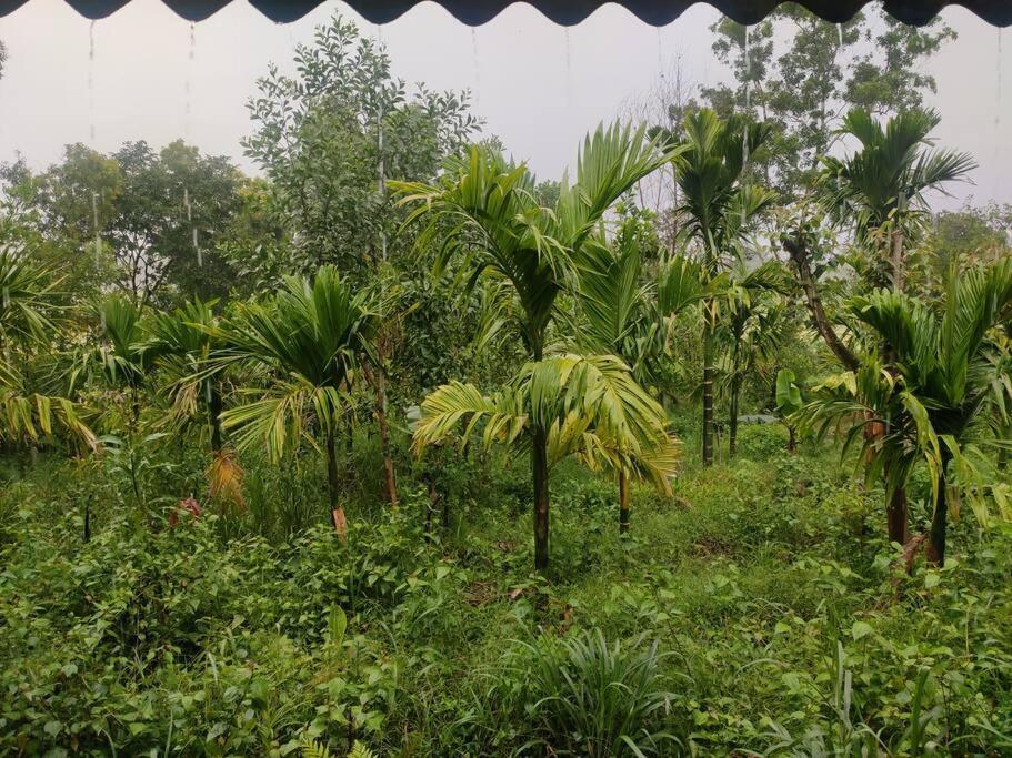 Kamanabillu Homestay, For Jog Falls Travellers Siddapur Eksteriør billede